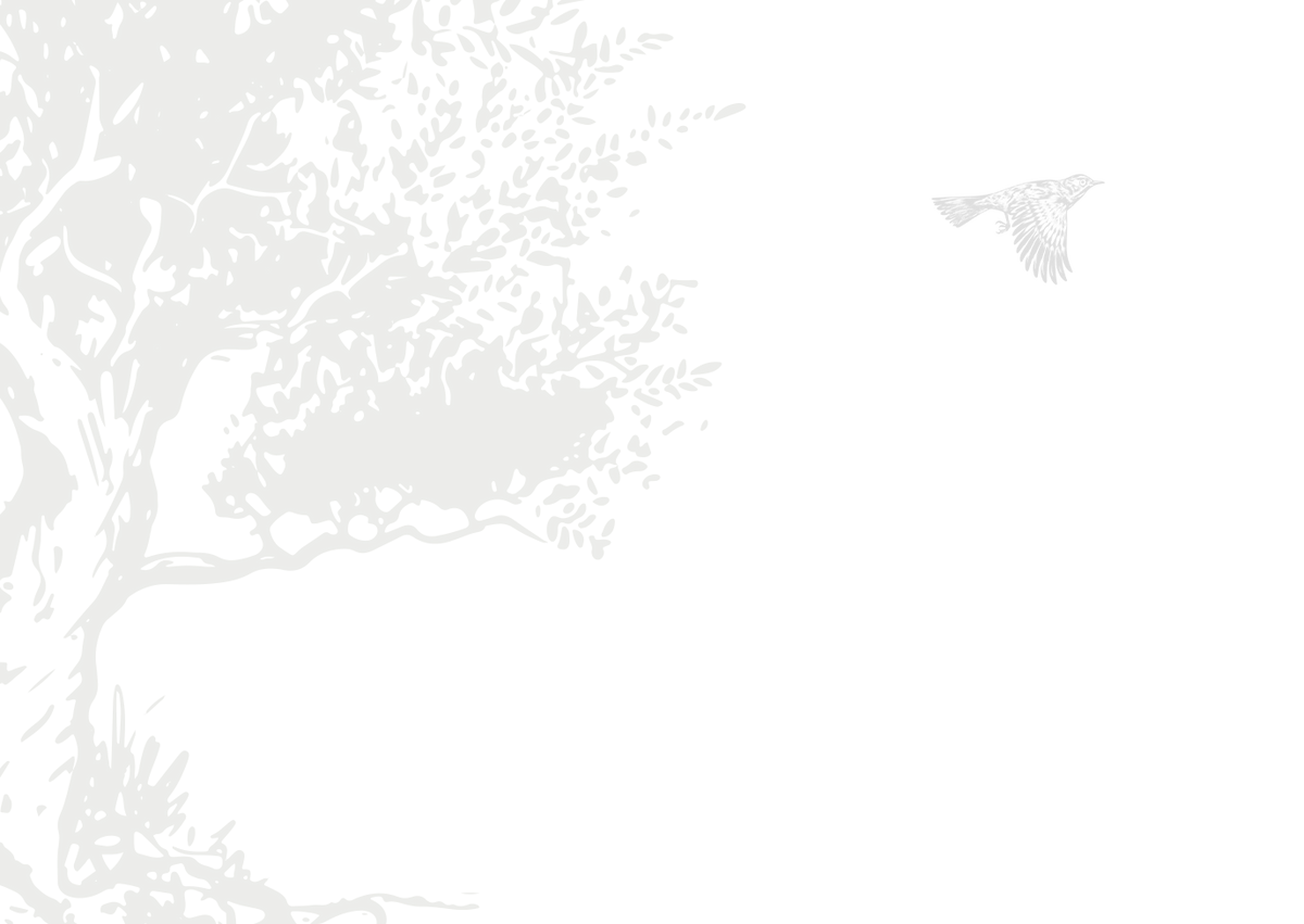 Stylized olive tree silhouette with a white bird in flight against a black background
