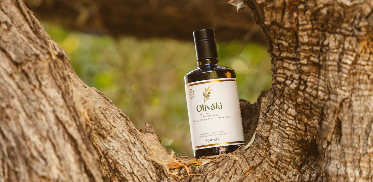 A bottle of Oliváki Early Harvest Greek Extra Virgin Olive Oil nestled in an olive tree trunk.