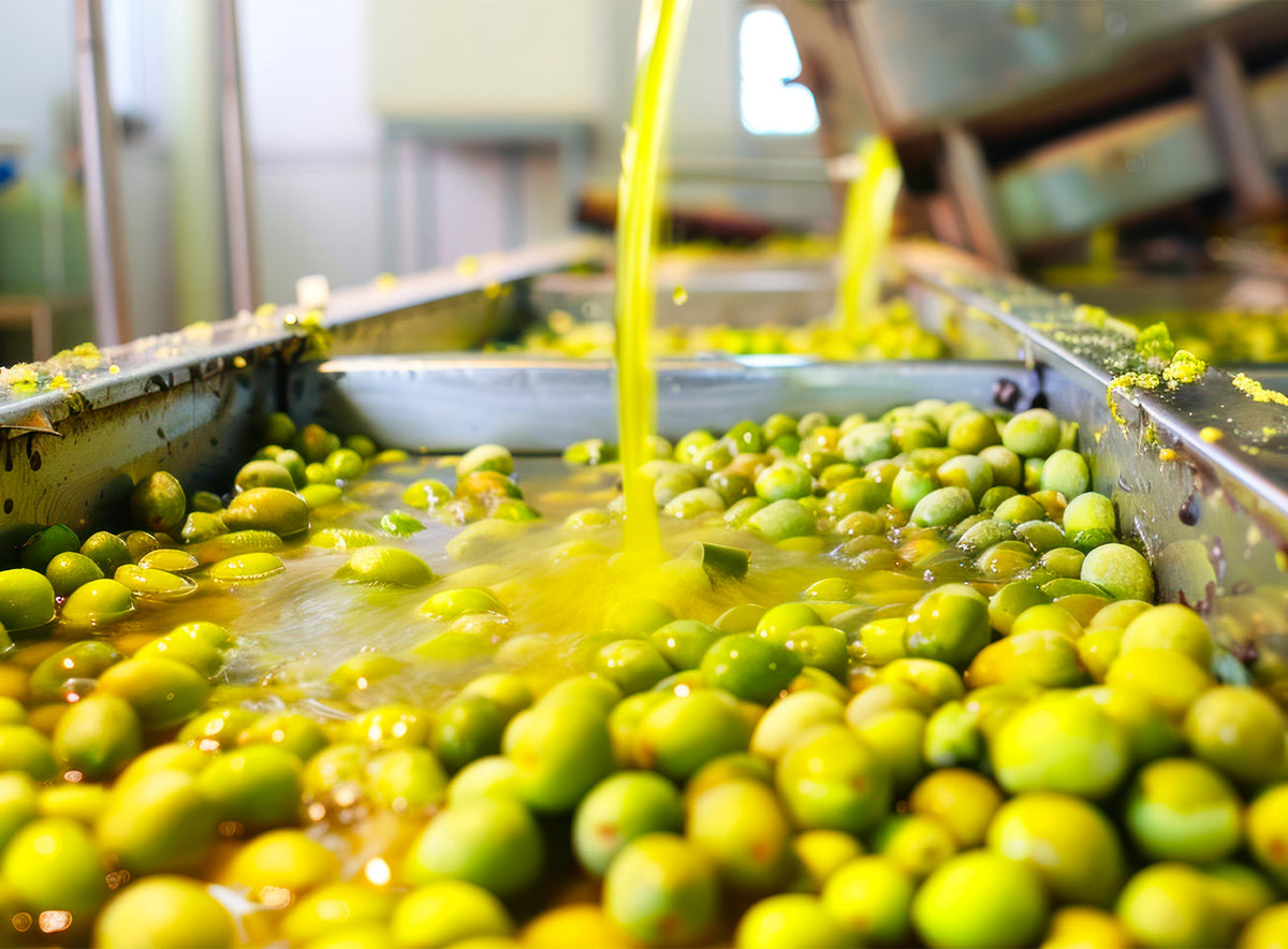 Fresh green olives being processed in a liquid stream during olive oil production.