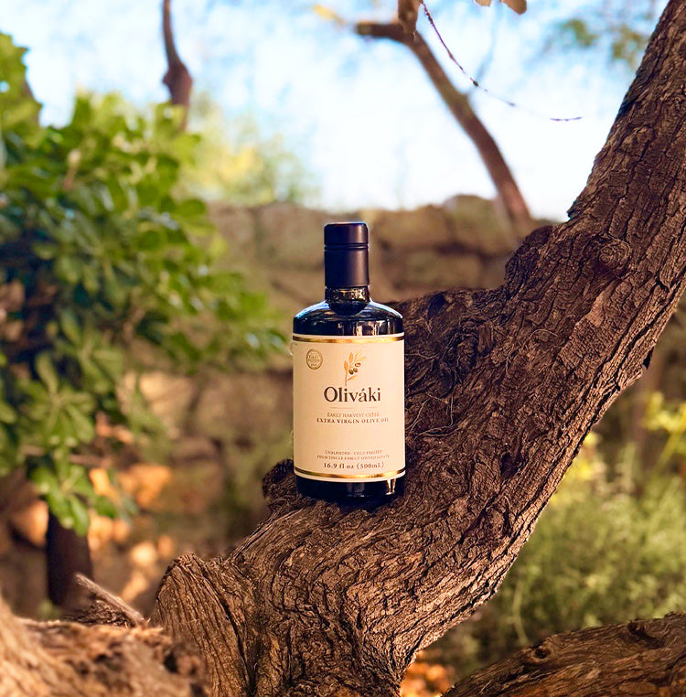 A bottle of Oliváki Early Harvest Extra Virgin Olive Oil resting on a tree branch.