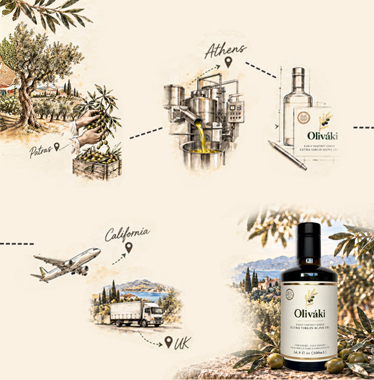Infographic showing the journey of Oliváki extra virgin olive oil from Patras to Athens and UK.
