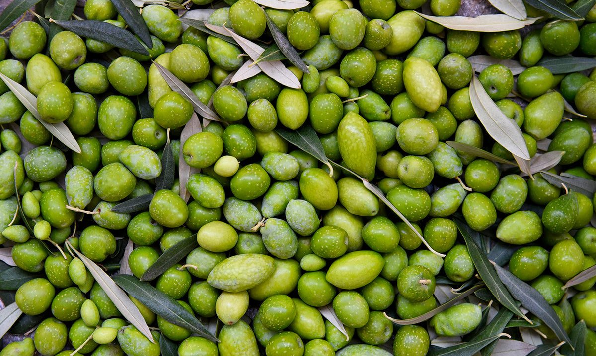 Fresh green olives with olive leaves scattered in a pile.